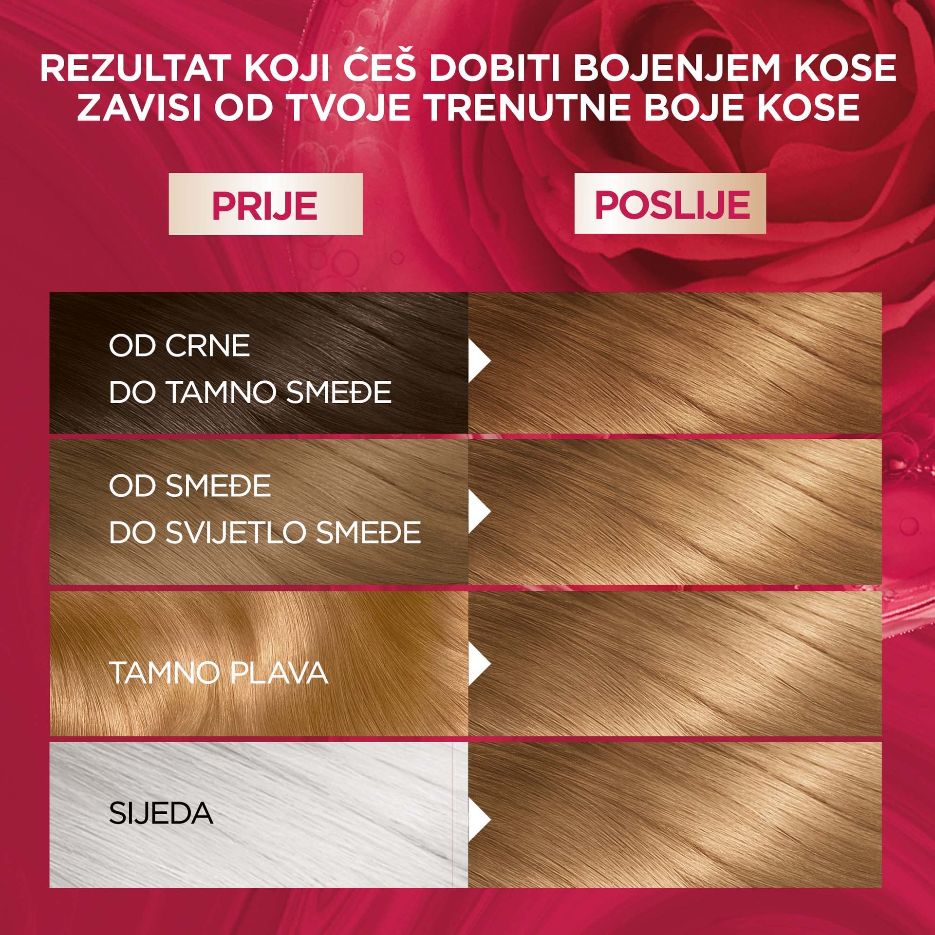 GAR COLOSENS blonde 07